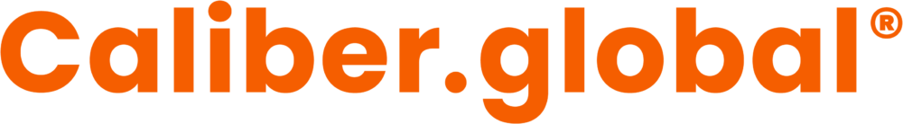 BusinessITScan | Hét kompas voor IT-strategie en digitale transformatie